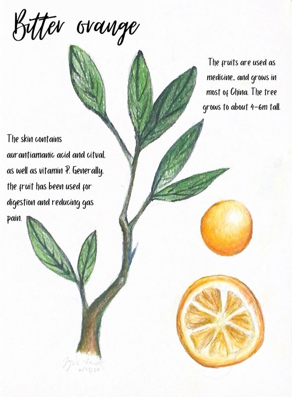 Bitter Orange