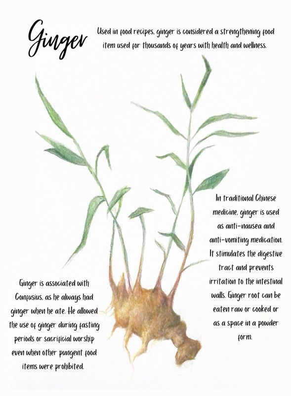 Ginger