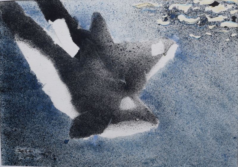 Orcas