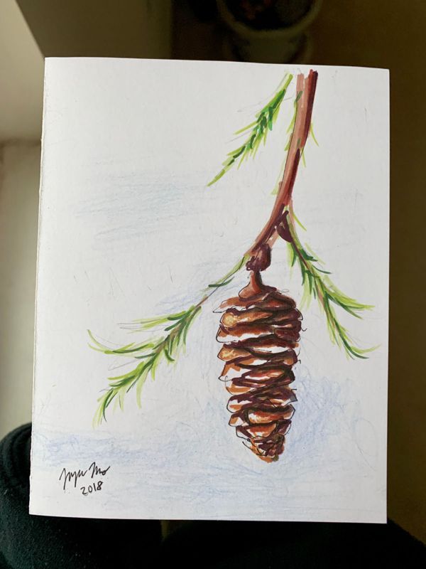 Pinecone