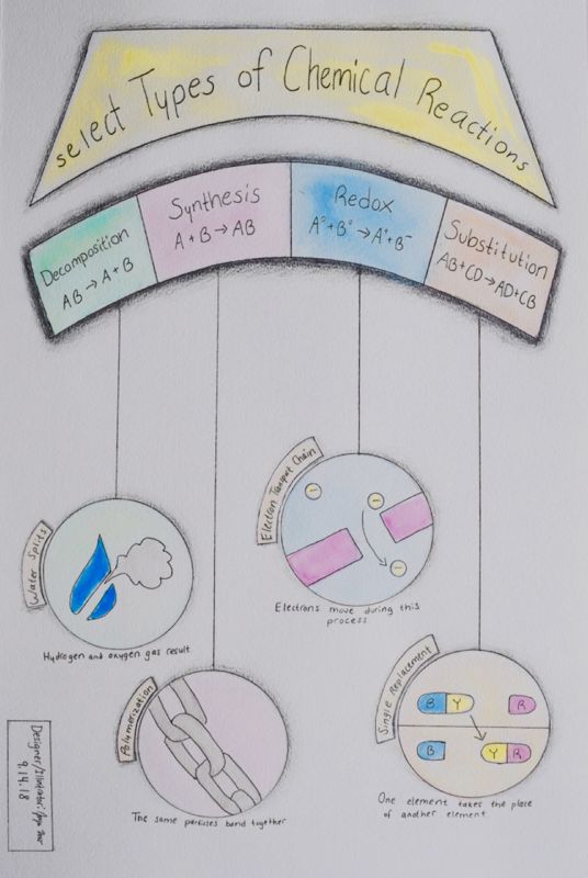 Select Types of Chemical Reactions