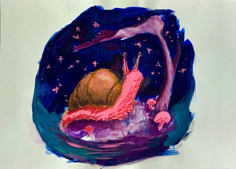 Snail Island
