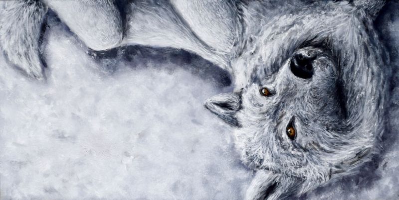 Snow Wolf