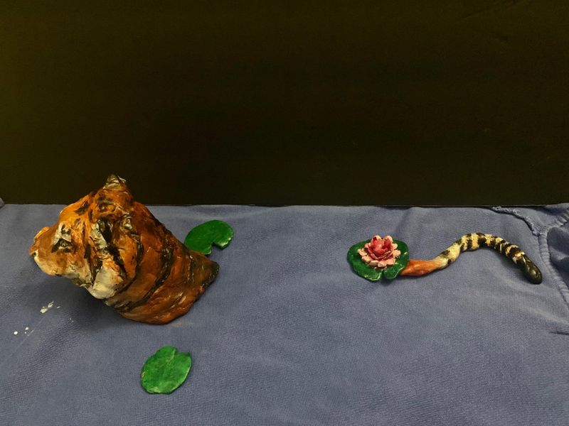 Swimming Tiger