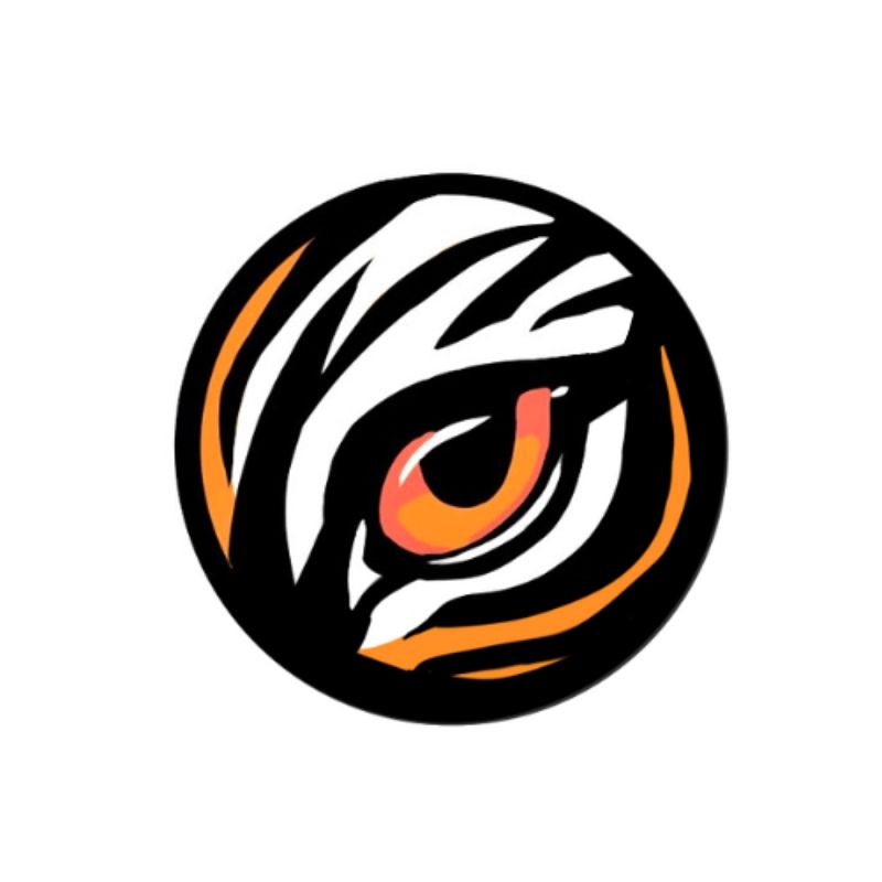 Tiger Eye